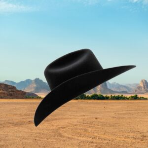 Sombrero texana lana boliviana